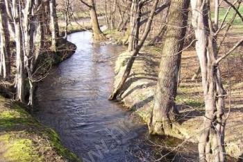 Hodoňovicko-sviadnovský technický náhon mezi Hodoňovicemi a Kunčičkami u Bašky ( © Jan P. Štěpánek 04/2007)