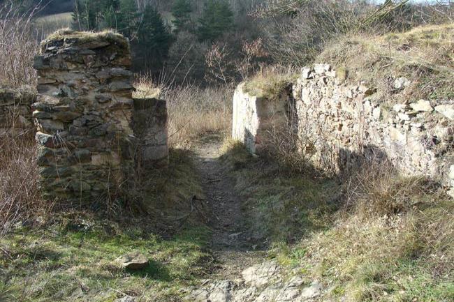 Věžka