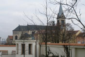  (© Jiří Suchomel, 12/2008)