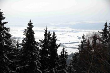 Pohled z rozhledny ( © Petr Vaculčík 01/2011)