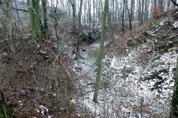 Severní část příkopu ( © Otto Slabý 11/2007)