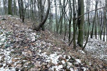 Plošina ( © Otto Slabý 11/2007)