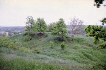  (©2003 Jiří Čížek)