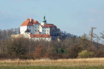  (© Alena Volná, 4/2007)