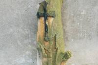 kostel sv. Bartoloměje
