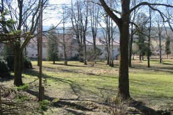 zámecký park sev.od zámku (© D Dohňanský, 03/2015)