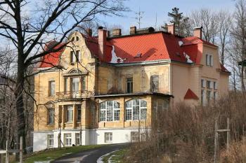 Vila ( © Luděk Pitter 02/2007)