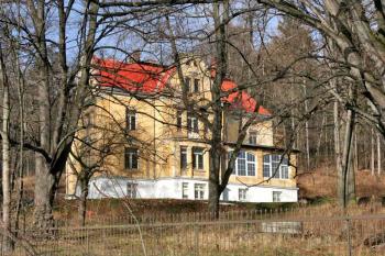  ( © Luděk Pitter 02/2007)