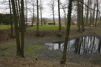 Celkový pohled na tvrziště od jihu ( © Filip Matoušek 02/2007)