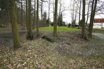 Tvrziště od východu, v popředí přístupová šíje ( © Filip Matoušek 02/2007)