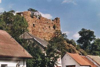 Tvrz Zavlekov (2003 ©Luděk Pitter)