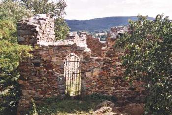 Tvrz Zavlekov (2003 ©Luděk Pitter)