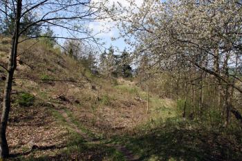 Plošina pod jádrem překračující příkop ( © Iva Spurná 30.4.2010)