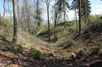 Mohutný příkop obklopující jádro drobného hradu ( © Iva Spurná 30.4.2010)