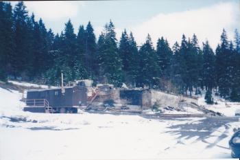 Alfrédka měsíc po požáru (© Zuzana Holasová, 04/2002)