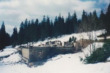 Alfrédka měsíc po požáru (© Zuzana Holasová, 04/2002)