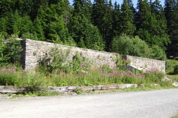 ruiny Alfrédky 7 let po požáru (© Zuzana Holasová, 08/2009)