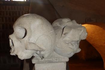 Memento mori (© Johannes Cladis, 09/2014)
