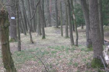 pohled od vstupu na východě na severozápad vlastního hradu (© Jaroslav Špiroch 05ú2020)