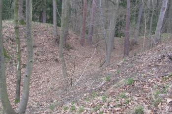 pohled z 2.valu přes 2.příkop na sever (vlevo sv.cíp hradu) (© Jaroslav Špiroch 05/2020)