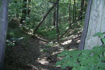 Boršov ( © Marek Skýpala 07/2006)
