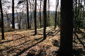 Plocha tvrziště od východu (v pozadí údolí Vltavy) (© Jiří Cukr, 03/2003)