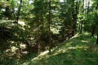Boršov