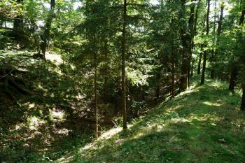 Příkop a val na severní straně (© Jiří Cukr, 08/2010)