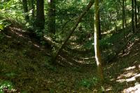 Boršov