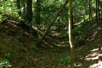 Příkop na přístupové východní straně (© Jiří Cukr, 08/2010)