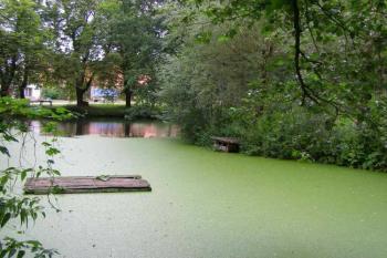Tvrziště Pšovlky ( © Marek Skýpala 06/2006)