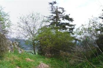 nečtiny - příkop mezi předhradím a jádrem hradu (© zdeněk komínek, 05/2010)