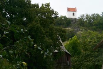  (© Alena Volná, 8/2010)