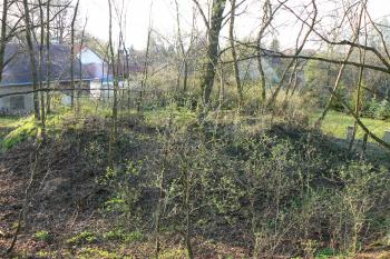 Tvrziště (© Prudký Martin, 04/2009)