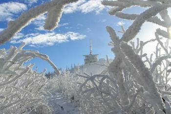 pohled na vrchol Lysé z ojíněného Malchoru ( © Jan P. Štěpánek 12/2007)