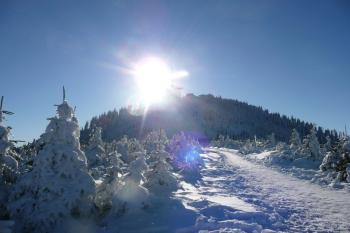 vrcholek Lysé hory zvaný lidově Gigula ( © Jan P. Štěpánek 01/2009)