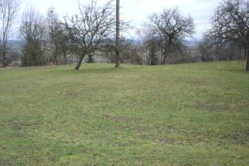  ( © Iva Spurná 02/2007)