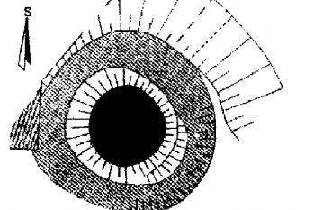  (Z. Fišera: Hrady a tvrze na Mladoboleslavsku, Okresní muzeum - Mladá Boleslav, Mladá Boleslav 2002)