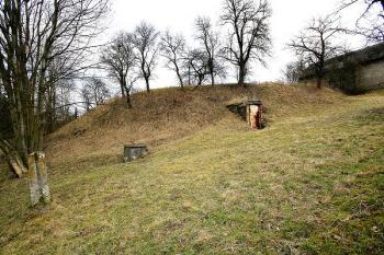 Celkový pohled na tvziště nad silnicí od jihu ( © Filip Matoušek 02/2007)