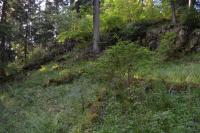 Hausberk