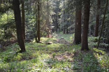 Turistická cesta na hrad Hrad (© Jiří Čížek 05/2016)