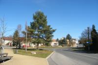Braškov