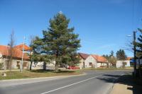 Braškov