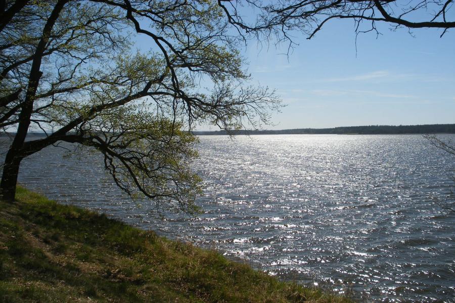 rybník Rožmberk