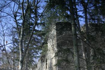  (© Václav Tomášek, 04/2009)