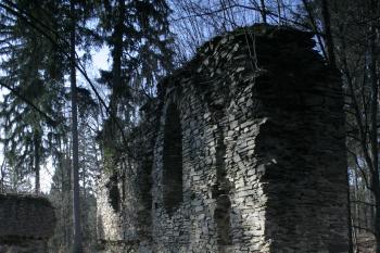  (© Václav Tomášek, 04/2009)