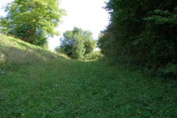 Tvrziště Zdislav ( © Marek Skýpala 06/2006)