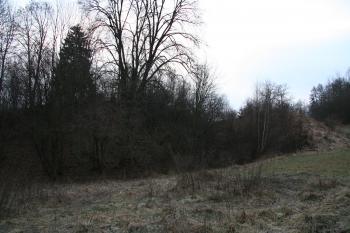 Tvrziště i s vrchní partií, která i v zimě není téměř vidět (© Petr Nožička, 12/2009)