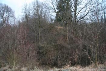 Horní partie tvrziště (© Petr Nožička, 12/2009)