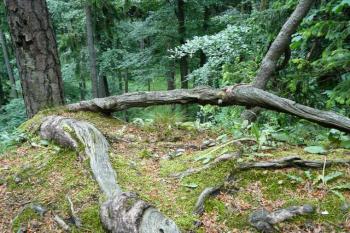 Kuglvajt - pohled z hlásky (© Pavel Kozel, 06/2008)